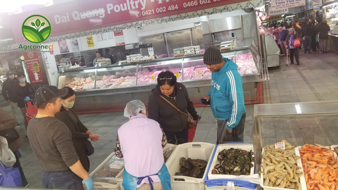 Chợ hải sản của người Việt Nam ở Australia. Ảnh: AGRCONNECT